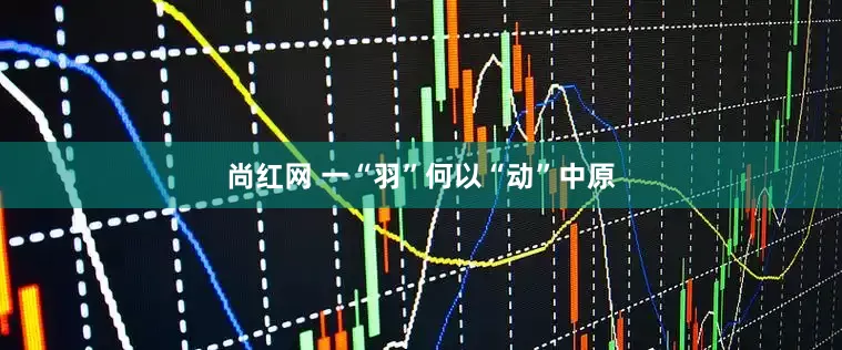 尚红网 一“羽”何以“动”中原
