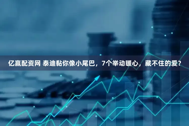 亿赢配资网 泰迪黏你像小尾巴，7个举动暖心，藏不住的爱？