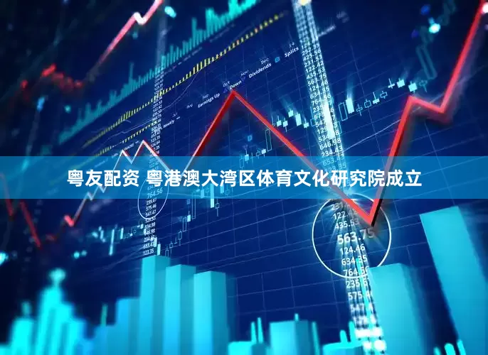 粤友配资 粤港澳大湾区体育文化研究院成立