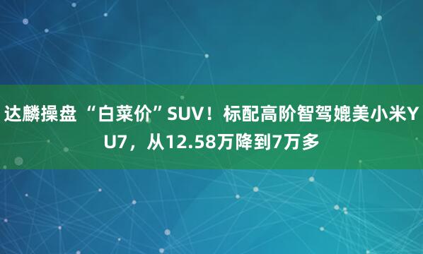 达麟操盘 “白菜价”SUV！标配高阶智驾媲美小米YU7，从12.58万降到7万多