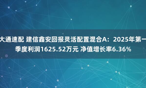 大通速配 建信鑫安回报灵活配置混合A：2025年第一季度利润1625.52万元 净值增长率6.36%