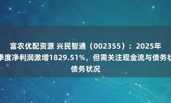 富农优配资源 兴民智通（002355）：2025年一季度净利润激增1829.51%，但需关注现金流与债务状况