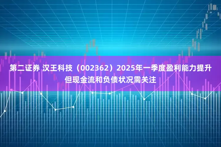 第二证券 汉王科技（002362）2025年一季度盈利能力提升但现金流和负债状况需关注