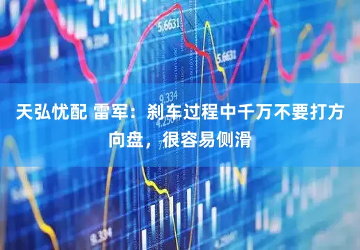 天弘忧配 雷军：刹车过程中千万不要打方向盘，很容易侧滑