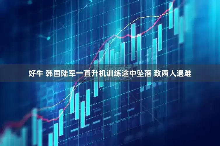好牛 韩国陆军一直升机训练途中坠落 致两人遇难