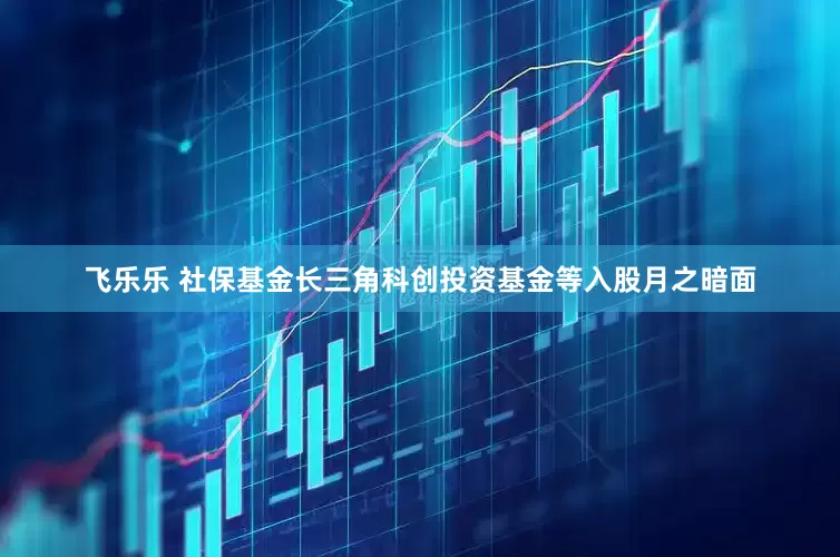 飞乐乐 社保基金长三角科创投资基金等入股月之暗面