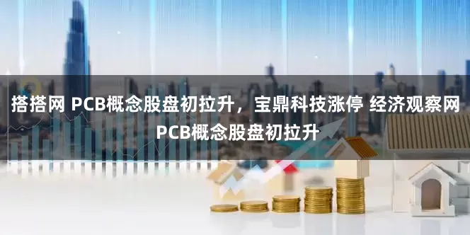搭搭网 PCB概念股盘初拉升，宝鼎科技涨停 经济观察网 PCB概念股盘初拉升